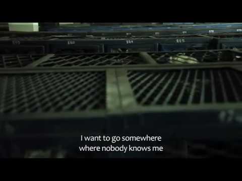 In the Dark - Trailer