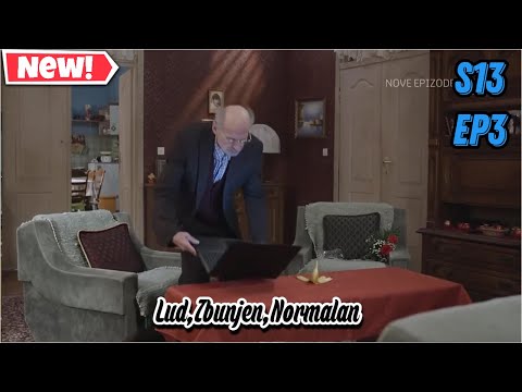 lud zbunjen normalan sezona 13 epizoda 3