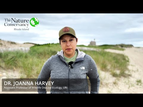 URI Professor Uses Genetic Sequencing to Unlock Bird Flu Mysteries