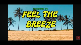 RonnieMix TV MUSIC:  Feel the Breeze #lovesong#feel#breeze#music#love