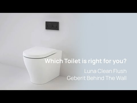 Caroma Luna Clean Flush Geberit Behind the Wall Toilet | Which Toilet Is Right