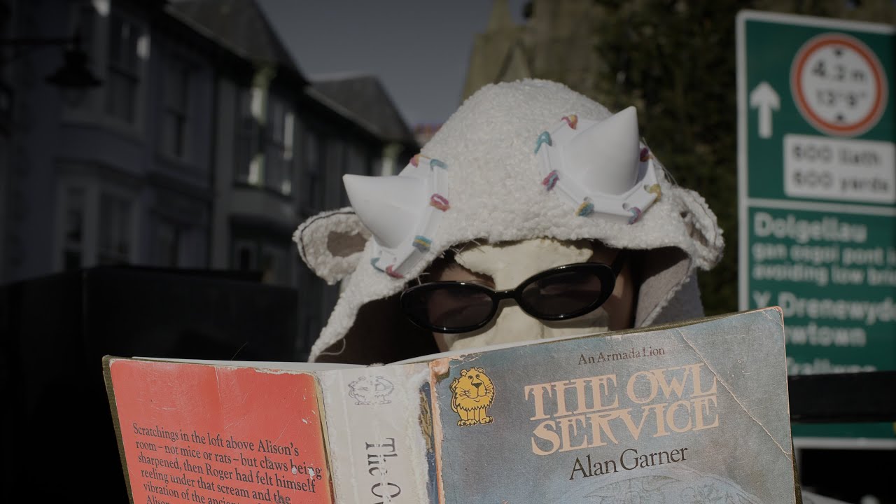 Pinwydd — Official Trailer