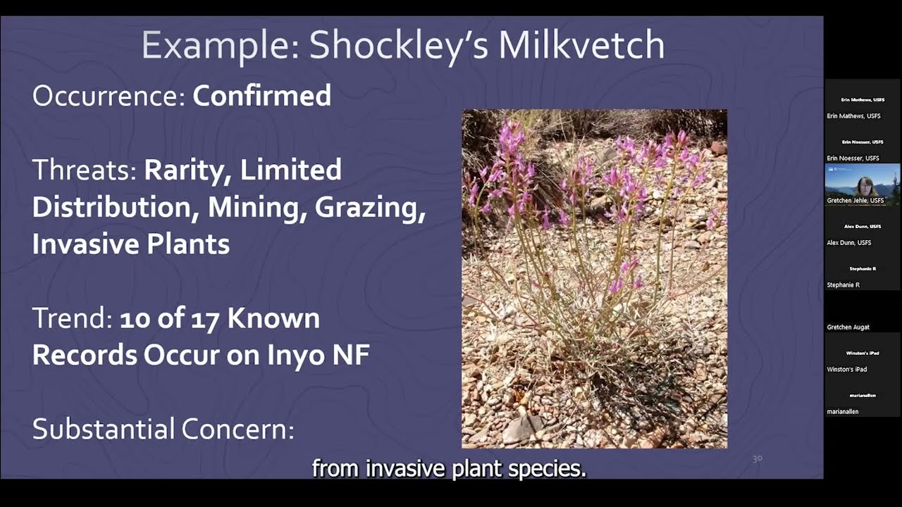 Tongass Plan Revision Webinar - Species Diversity_April 11_2024