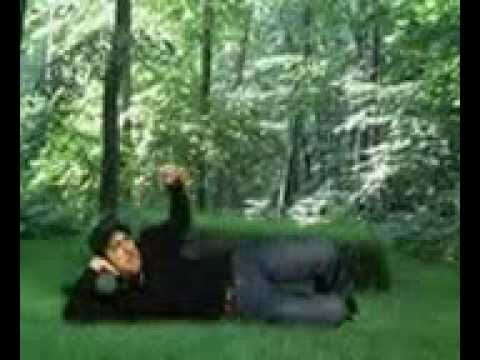 the actor Nofel Shahlaroglu  melikmemmedin nagi