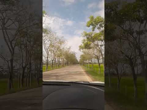 camino a Majagual sucre