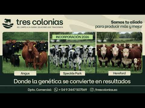 HERNAN EGGS CABAÑA TRES COLONIAS VILLA ELISA ENTRE RIOS
