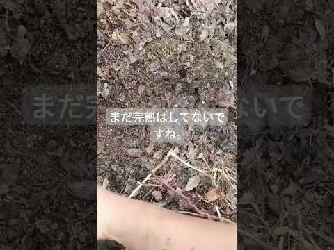 髪の毛を堆肥にできますか