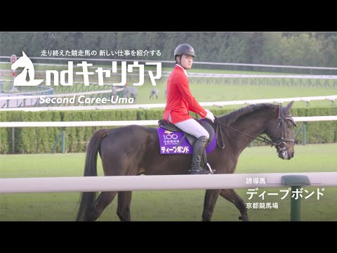 �U���n�E�f�B�[�v�{���h