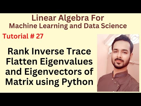 Tutorial 27 Rank Inverse Trace Flatten Eigenvalues and Eigenvectors of Matrix using Python