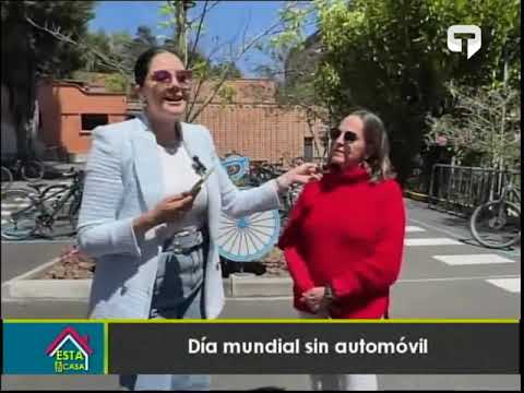 Día mundial sin automóvil
