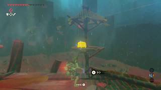 ゼルダの伝説 ブレス オブ ザ ワイルド（マイク有）24【剣の試練 極位1】
