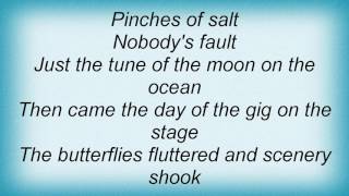 Roy Harper - Pinches Of Salt Lyrics