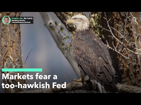 Is the Fed on the Verge of a Policy Error?