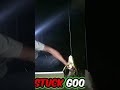 How To Catch A Alligator The Right Way Shorts