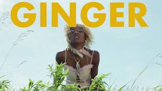 JUNGLEPUSSY - Trader Joes edit (lyrics)