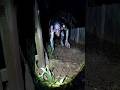 Scary Videos Scary Horror Movie Scaryvideos Ghost Monster Animals Nightmare Terrifying