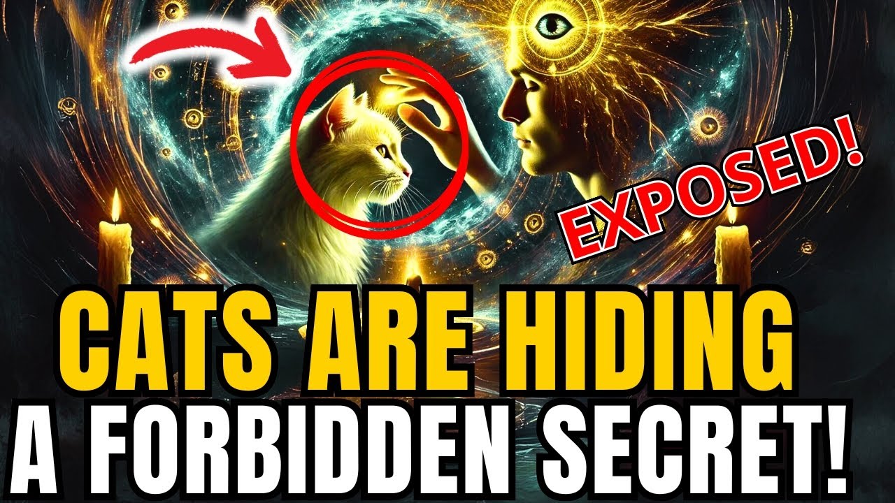 Cats Hiding a Dark Secret… Only for the Chosen Ones!