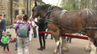 preview picture of video 'Our rehomed horses - Baron the Clydesdale's Story'