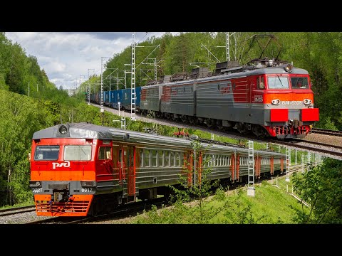 Russian Railways: summer nature and two cute trains