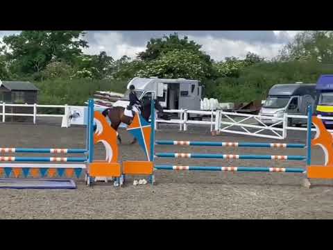 1 Meter Showjumping | Dexter