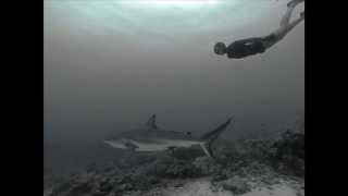 Cloud Boat - The Glow