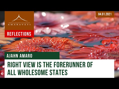 Right View Is The Forerunner Of All Wholesome States | Dhamma Reflection | 04.01.2021