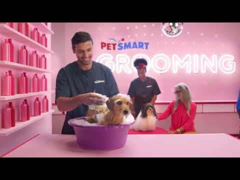 PetSmart - Anything for Pets Grooming