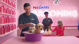 PetSmart - Anything for Pets Grooming