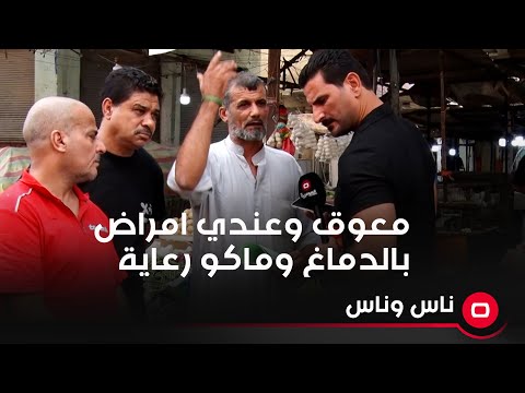 شاهد بالفيديو.. قدمت على راتب الرعاية ١٥ مرة ولحد لان ماكو راتب واني معوق وعندي امراض بالدماغ
