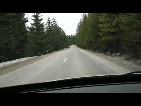 Dealul Vălari - Stațiunea Păltiniș, jud. Sibiu 13april2021