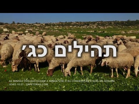 תהילים כג - Psalms 23 in Hebrew - Salmo 23 em Hebraico - Programa a Biblia Viva