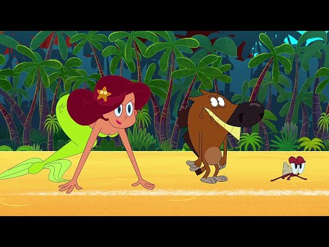 ZIG AND SHARKO | The Race (SEASON 2) New episodes | Cartoon Collection for kids
