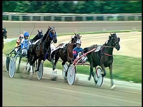 Trotto 22/04/2016 - 1° Corsa