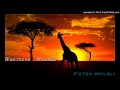 Peter Muleli Ukiwa Na Bibi Mzuri Official Audio AELL