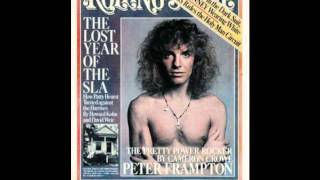 Breaking All The Rules - Peter Frampton