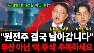 "두에빌, 현대건설 아닙니다" "원전주 결국 날아갑니다" 두산 아닌 '이 주식' 주목하세요 (원전주 특집 /…