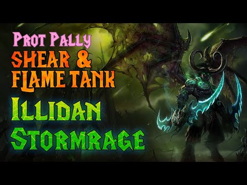 Illidan Shear+Fire Dual Tank Prot Paladin POV - TBC Classic