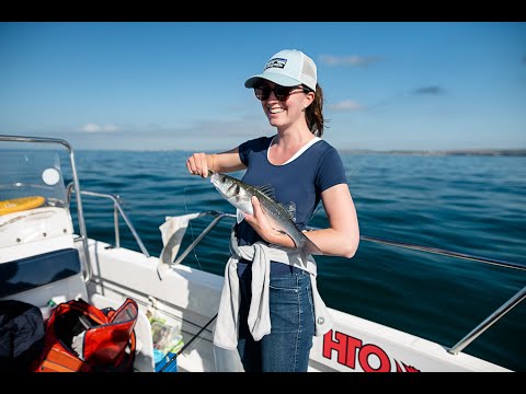 Bass fishing Brighton; a beautiful morning.