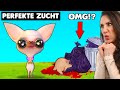 Das Süßeste Game Mit Der GRAUSAMSTEN Botschaft Ruff Times