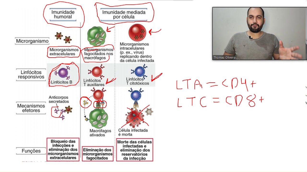 Imunologia- Aula 3 - Imunidade celular x Imunidade humoral