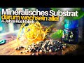 Growing Houseplants In Mineral Substrate Pon And Hydroponics Complete Guide