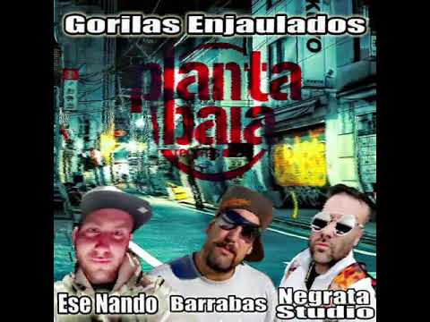 GORILAS ENJAULADOS - BARRABAS/ESE NANDO/NEGRATA STUDIO 2020