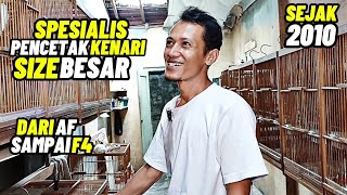 Download lagu CANARY BREEDERS‼️SPECIALISTS IN BREEDING LARGE SIZE CANARY... mp3 Download lagu CANARY BREEDERS‼️SPECIALISTS IN BREEDING LARGE SIZE CANARY... mp3