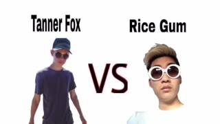 Tanner Fox VS RiceGum(Diss Track)