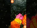 Sri Devi Karumari Amman Allinakaram Theni Amman Status Amman Alangaram Amman Songs