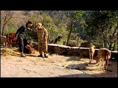 Titri Fase Chakhuli Fase [Full Song] Syani