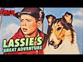 LASSIE'S GREAT ADVENTURE | Full HEARTWARMING FAMILY DOG Movie