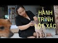 Hành trình ĐẸP LÊN của các bé nhà SaiGonTime ( p1)