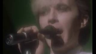 Japan - Still Life in Mobile Homes - 1982 (Live)