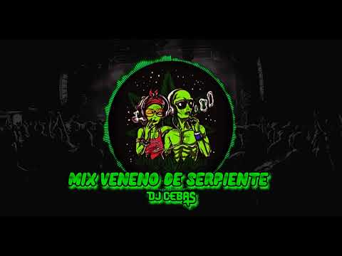 Mix Veneno De Serpiente🐍, Trompeta Aletosa🎺, Dengue🦟 (#Aleteo, #Zapateo, #Guaracha) ✘ DJ CEBAS